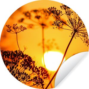 Behangcirkel - Zon - Planten - Oranje - Horizon - Zelfklevend behang - 50x50 cm - Behangcirkel bloemen - Behangcirkel zelfklevend - Behangsticker - Behang rond