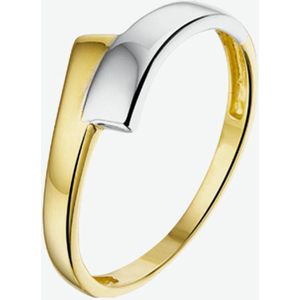 The Jewelry Collection Ring - Goud