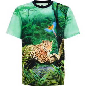 WE Fashion Jongens T-shirt met dessin