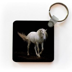 Sleutelhanger - Uitdeelcadeautjes - Paarden - Boerderijdieren - Zwart - Plastic