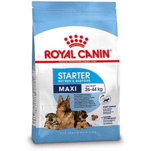 Royal Canin Maxi Starter Mother & Babydog - Hondenvoer - 4 kg