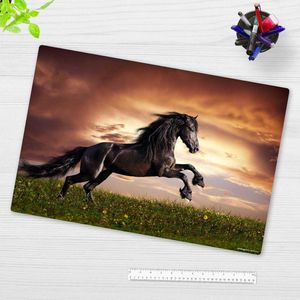 Bureauonderlegger voor kinderen en volwassenen Zwart paard 60 x 40 cm antislip vinyl Made in Germany