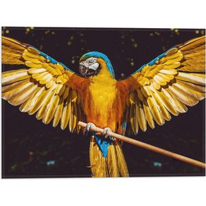 WallClassics - Vlag - Blauw met Gele Are Papegaai met Gespreide Vleugels - 40x30 cm Foto op Polyester Vlag