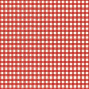 Tafellaken - Tafelkleed - Tafelzeil - Opgerold op tube - Geen Plooien - Vichy rood  - Ruitjes - Geruit - 140 cm x 220 cm