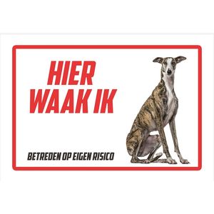 Waakbord/ bord | ""Hier waak ik"" | 30 x 20 cm | Windhond | Dikte: 1 mm | Spaanse Windhond | Gevaarlijke hond | Waakhond | Hond | Betreden op eigen risico | Polystyreen | Rechthoek | Witte achtergrond | 1 stuk