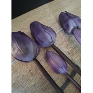 Countryfield- tulpen-kunst-paars