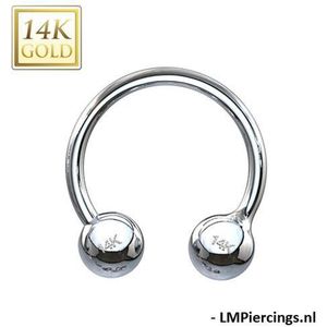 14K wit Goud horseshoe