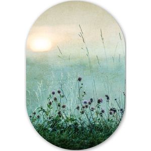 Natuur - Vintage - Bloemen - Zon Kunststof plaat (3mm dik) - Ovale spiegel vorm op kunststof