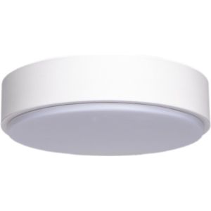 LED Plafondlamp - Igia Santi - Opbouw Rond 24W - Helder/Koud Wit 6500K - Mat Wit - Aluminium