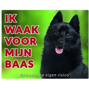 Schipperke Waakbord - Ik waak voor mijn baas