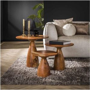 Salontafel Lana (set van 3) acacia - Naturel | Meubelplaats