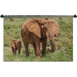 Wandkleed Baby olifant en moeder - Baby olifant met zijn moeder in het gras Wandkleed katoen 150x100 cm - Wandtapijt met foto