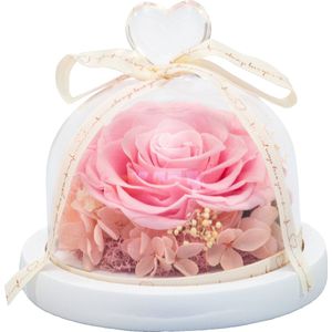 Cupido’s Choice ® Roos in Stolp | Inclusief Gift Box  | Roos in Stolp | Roos in Glas | Roze