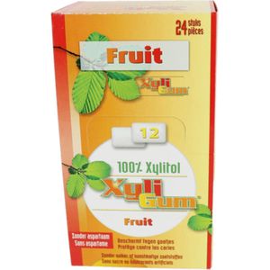 Xyligum Kauwgom Fruit 24 x 12ST - Voordeelverpakking
