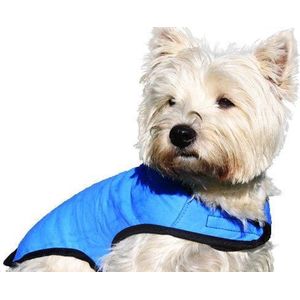 Prestige Pets CoolCoat Blauwe Hondenkoelvest, S