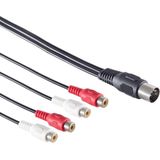 DIN 5-pins (m) - 2x Tulp stereo 2RCA (v) audio adapter (recorder - versterker) / zwart - 0,20 meter