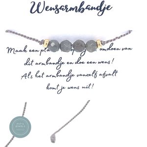 Pat's Jewels Vriendschapsarmbandje - Geluksbrenger- Minimalistisch Armbandje - Labradoriet - Zijde