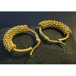 No-Fade Goud-Stijl Vintage Oorbellen met een Schubben Design Sieraden Voor Dames En Heren