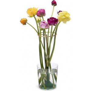 Peleg Design Invisivase