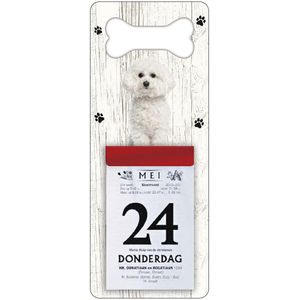 Scheurkalender 2024 Hond: Bichon FrisÃ©