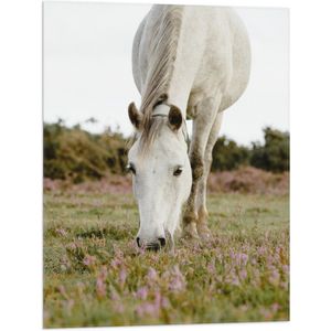 WallClassics - Vlag - Wit Paard in de Wei - 60x80 cm Foto op Polyester Vlag
