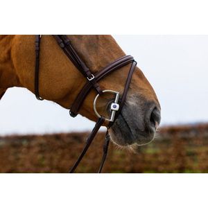 Trust Hoofdstel Knokke Classic Bruin/Silver - Cob
