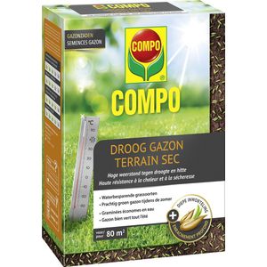 COMPO Gazonzaad Droog Gazon - voor droge en zonnige gazons - veilige en snelle kieming - met coating - doos 2 kg (80 m²)