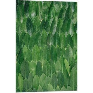 WallClassics - Vlag - Groene Blaadjes - 50x75 cm Foto op Polyester Vlag