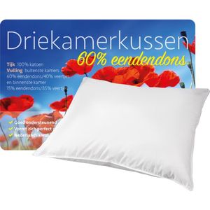 iSleep 3-Kamer Donzen Hoofdkussen - Eendendons - 60x70 cm - Wit