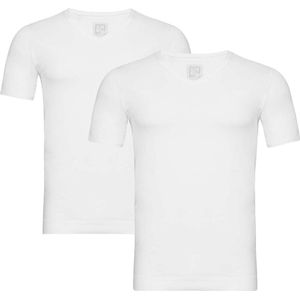Alan Red - Organic V-Hals T-Shirt Wit 2-Pack - Heren - Maat L - Slim-fit