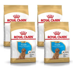 Royal Canin Bhn Poodle Puppy - Hondenvoer - 4 x 3 kg