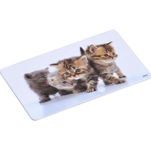 2x Ontbijtbordjes/ontbijtplankjes set kitten print 14 x 24 cm - Ontbijtborden servies voor kinderen - Onbreekbare bordjes voor babys/peuters/kleuters