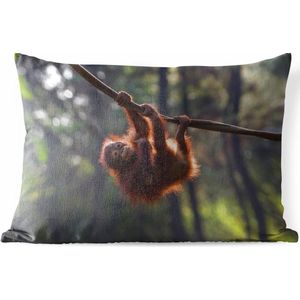 Buitenkussens - Tuin - Jonge orang-oetan hangend aan tak - 50x30 cm