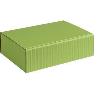 Geschenkdoos ribbelkarton 20x14x7cm LICHTGROEN (100 stuks)