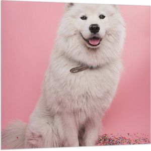 WallClassics - Vlag - Portret van Witte Hond tegen Roze Achtergrond met Confetti - 100x100 cm Foto op Polyester Vlag