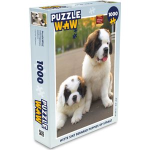 Puzzel Witte Sint Bernard puppies op straat - Legpuzzel - Puzzel 1000 stukjes volwassenen