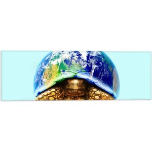 WallClassics - Vlag - Gouden Schildpad met Huis van Wereld - 60x20 cm Foto op Polyester Vlag