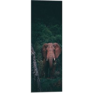 WallClassics - Vlag - Olifant in de Jungle - 20x60 cm Foto op Polyester Vlag