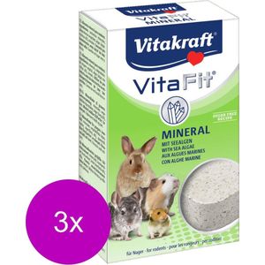 Vitakraft Vita Mineral Knaagsteen - Supplement - 3 x 170 g