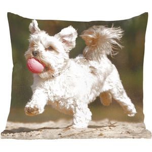 Sierkussen - Een Maltezer Hond Met Een Rode Bal - Multicolor - 50 Cm X 50 Cm