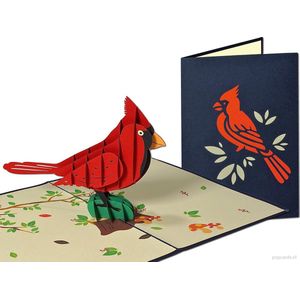 Popcards popupkaarten - Rode Kardinaal Vogel Natuur Vriendschap Verjaardag Felicitatie pop-up kaart 3D wenskaart