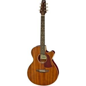 Aria FET-R1 Mahonie semi akoestische western gitaar