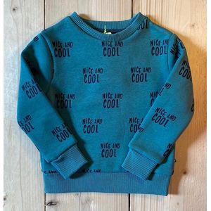 Nice and Cool Sweater maat 164/170