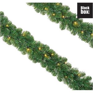 Black Box Trees - Norton slinger groen - LED  l270cm