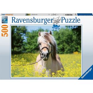 Puzzel Paard Tussen De Bloemen (500 Stukjes, Paarden Thema)