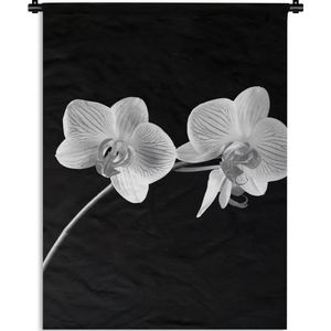 Wandkleed - Wanddoek - Orchidee - Bloemen - Zwart - Roze - Knoppen - 60x80 cm - Wandtapijt