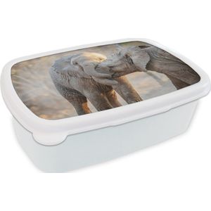 Broodtrommel Wit - Lunchbox - Brooddoos - Olifanten - Knuffel - Afrikaans - 18x12x6 cm - Volwassenen
