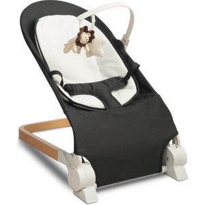 Baby Wipstoel- bouncer Black