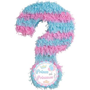 Pinata Baby Shower Gender reveal ""Prince ou Princesse) Frans [promoballons import]