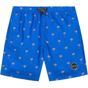 Shiwi Swimshort scratched shiwi palm - skydive blue - 146/152